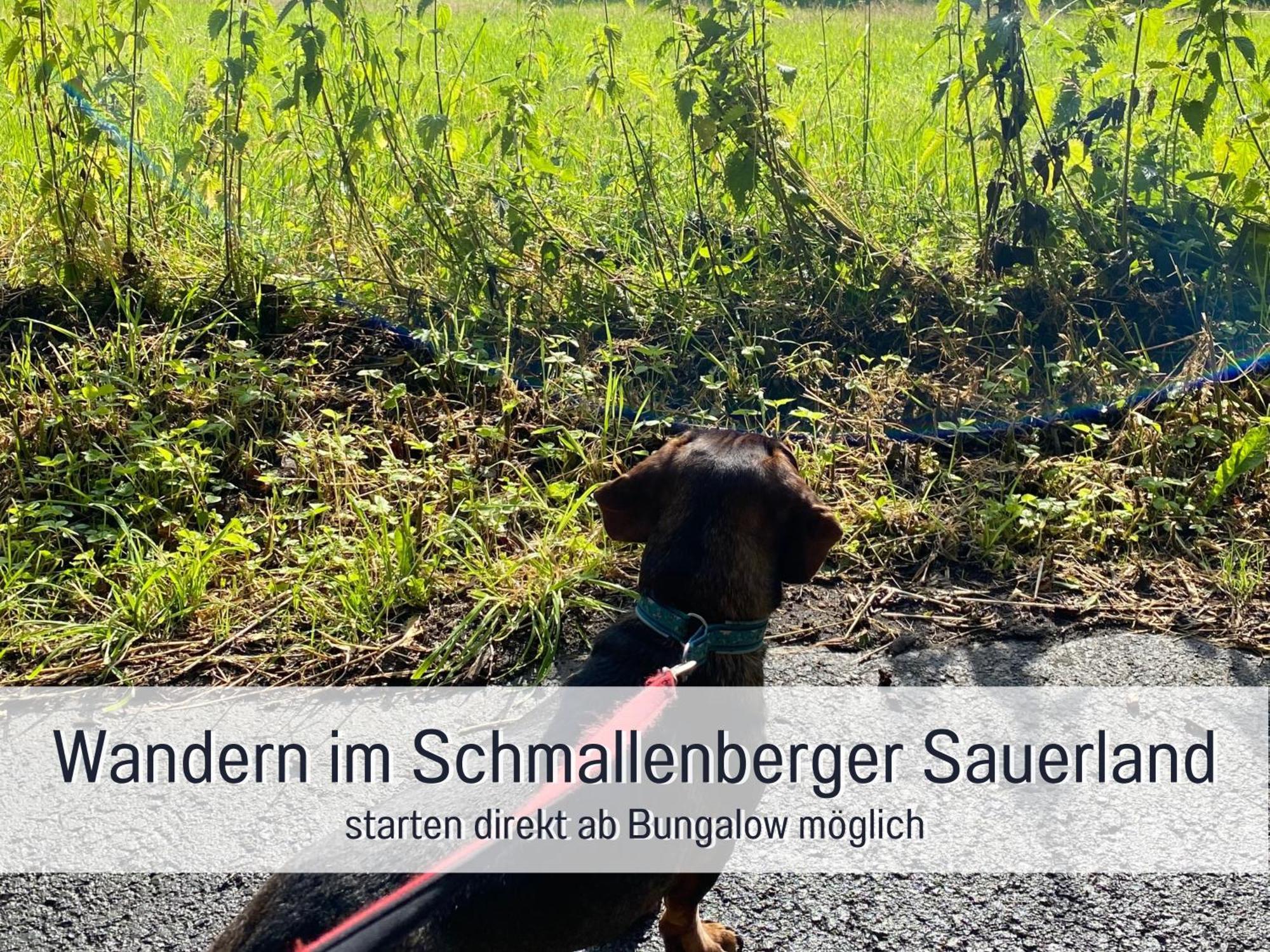 Ferienhaus Dackelglueck Schmallenberg Kültér fotó